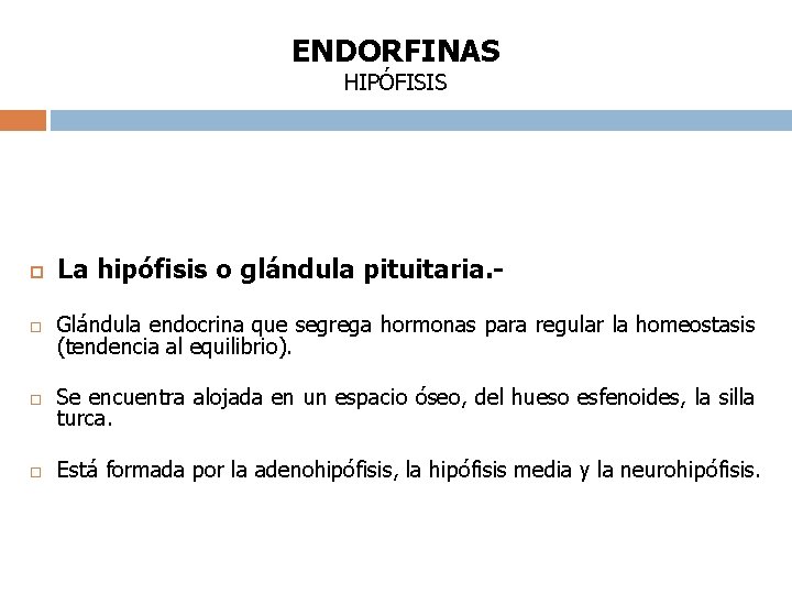 ENDORFINAS HIPÓFISIS La hipófisis o glándula pituitaria. - Glándula endocrina que segrega hormonas para