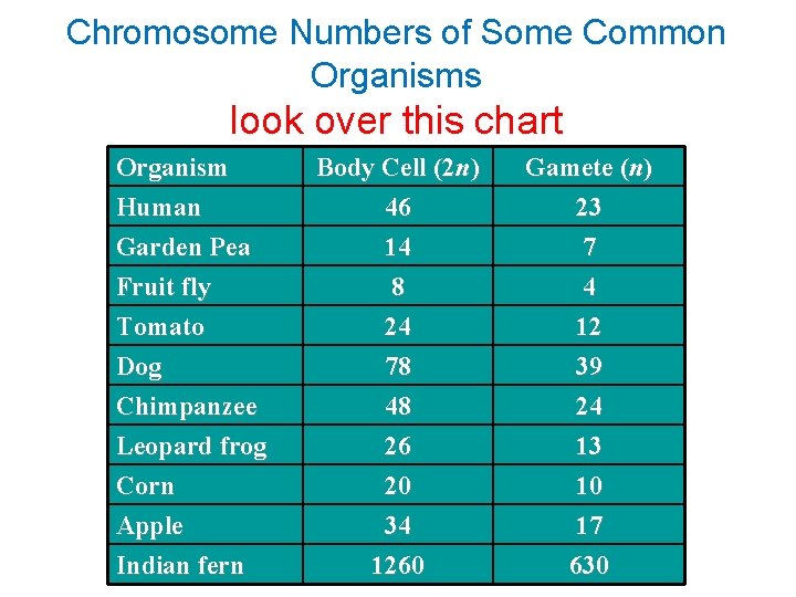 Chromosome Numbers of Some Common Organisms look over this chart Organism Human Body Cell