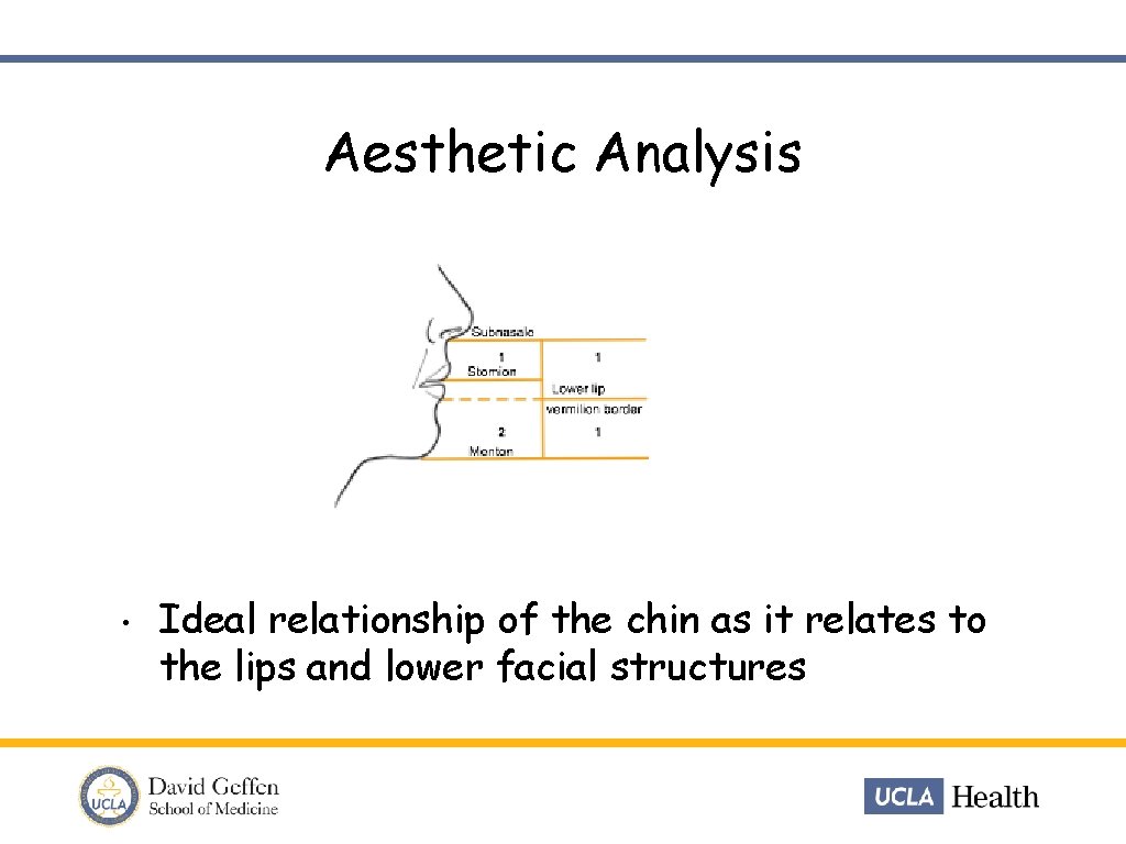 Aesthetic Analysis • Ideal relationship of the chin as it relates to the lips