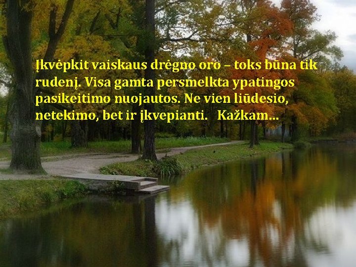 Įkvėpkit vaiskaus drėgno oro – toks būna tik rudenį. Visa gamta persmelkta ypatingos pasikeitimo Įkvėpkit vaiskaus drėgno oro – toks būna tik rudenį. Visa gamta persmelkta ypatingos pasikeitimo
