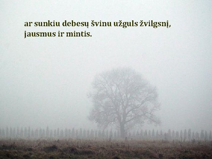 ar sunkiu debesų švinu užguls žvilgsnį, jausmus ir mintis. ar sunkiu debesų švinu užguls žvilgsnį, jausmus ir mintis.