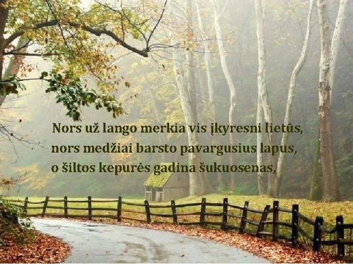 Nors už lango merkia vis įkyresni lietūs, nors medžiai barsto pavargusius lapus, o šiltos Nors už lango merkia vis įkyresni lietūs, nors medžiai barsto pavargusius lapus, o šiltos