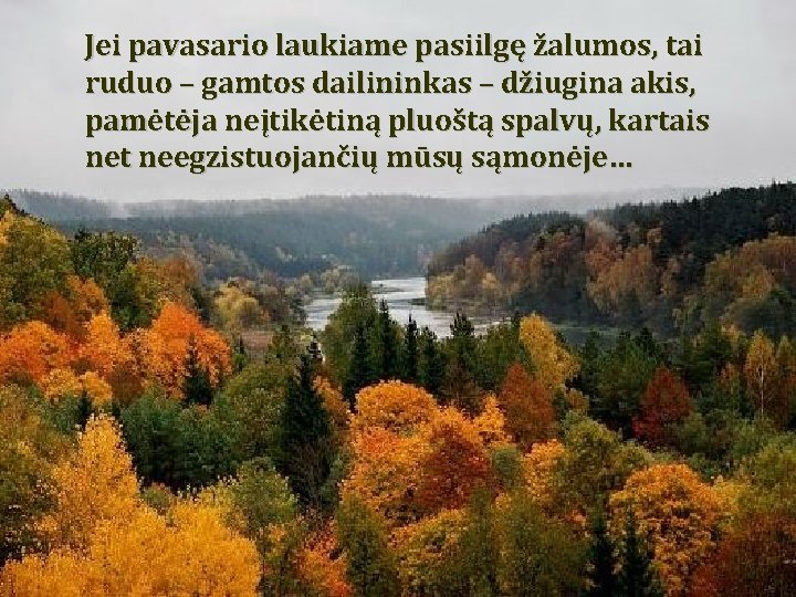 Jei pavasario laukiame pasiilgę žalumos, tai ruduo – gamtos dailininkas – džiugina akis, pamėtėja Jei pavasario laukiame pasiilgę žalumos, tai ruduo – gamtos dailininkas – džiugina akis, pamėtėja