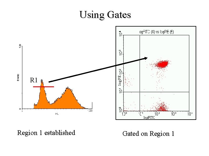 R 1 Region 1 established log PE Using Gates Gated on Region 1 R 1 Region 1 established log PE Using Gates Gated on Region 1