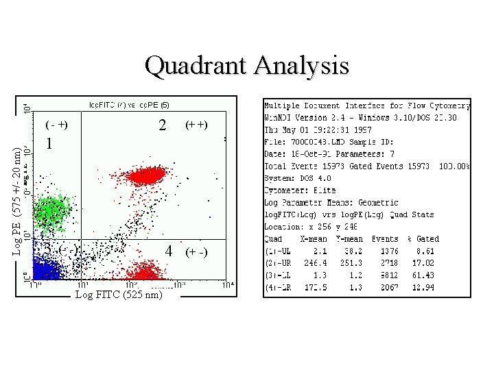 Quadrant Analysis 2 (+ +) 1 log PE Log PE (575 +/ 20 nm) Quadrant Analysis 2 (+ +) 1 log PE Log PE (575 +/ 20 nm)