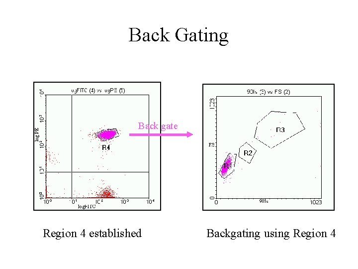 log PE Back Gating Back gate Region 4 established Backgating using Region 4 log PE Back Gating Back gate Region 4 established Backgating using Region 4