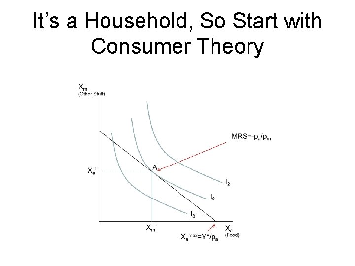 It’s a Household, So Start with Consumer Theory 