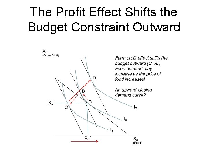 The Profit Effect Shifts the Budget Constraint Outward 