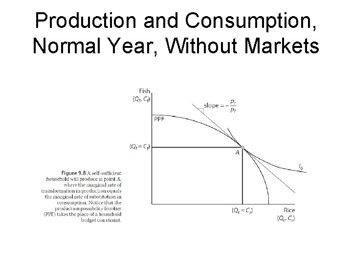 Production and Consumption, Normal Year, Without Markets 