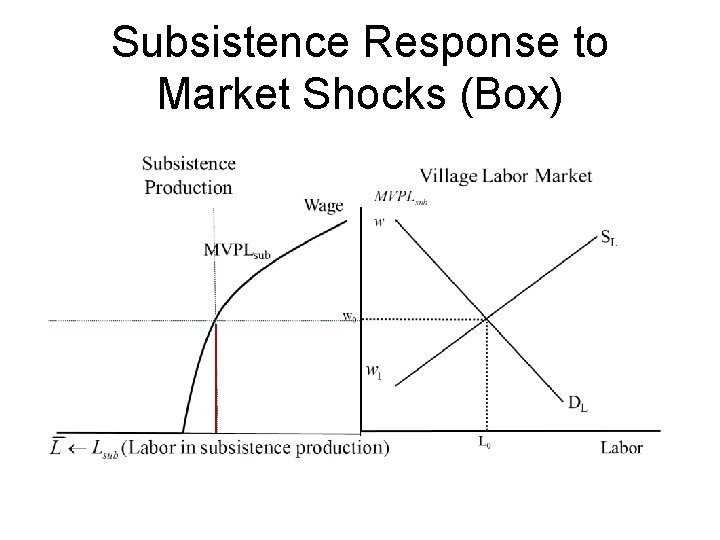 Subsistence Response to Market Shocks (Box) 