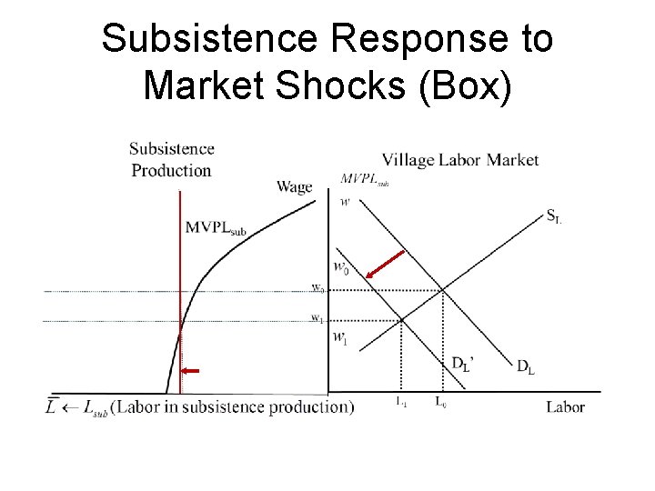 Subsistence Response to Market Shocks (Box) 