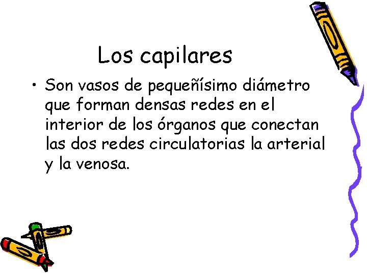 Los capilares • Son vasos de pequeñísimo diámetro que forman densas redes en el