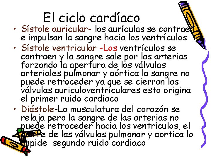 El ciclo cardíaco • Sístole auricular- las aurículas se contraen e impulsan la sangre