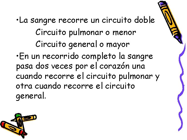  • La sangre recorre un circuito doble Circuito pulmonar o menor Circuito general
