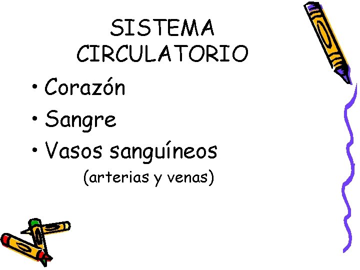 SISTEMA CIRCULATORIO • Corazón • Sangre • Vasos sanguíneos (arterias y venas) 