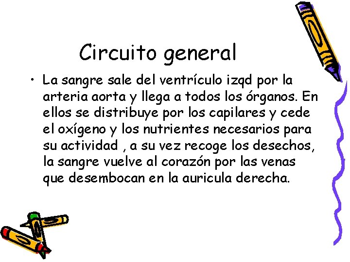 Circuito general • La sangre sale del ventrículo izqd por la arteria aorta y