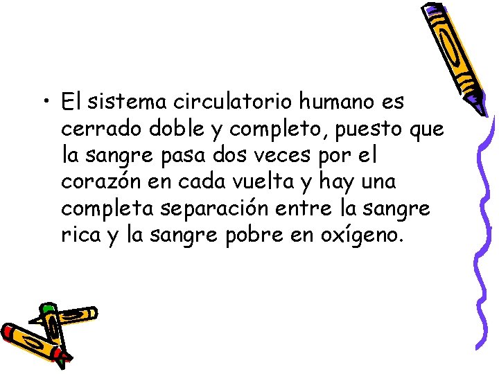  • El sistema circulatorio humano es cerrado doble y completo, puesto que la