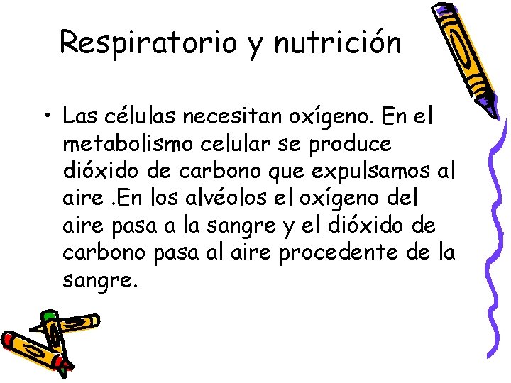 Respiratorio y nutrición • Las células necesitan oxígeno. En el metabolismo celular se produce