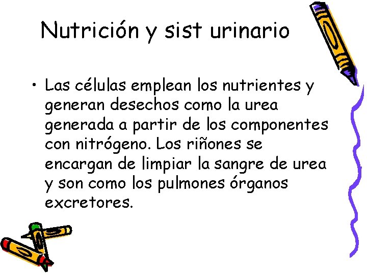 Nutrición y sist urinario • Las células emplean los nutrientes y generan desechos como