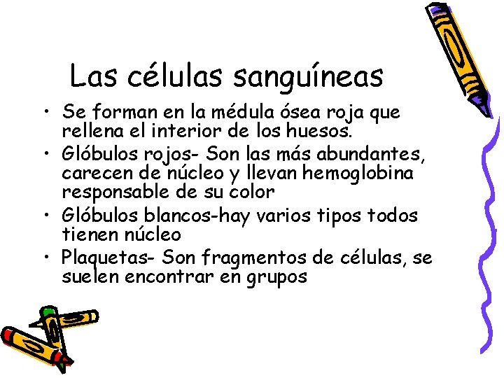 Las células sanguíneas • Se forman en la médula ósea roja que rellena el