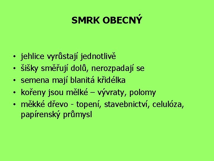 SMRK OBECNÝ • • • jehlice vyrůstají jednotlivě šišky směřují dolů, nerozpadají se semena