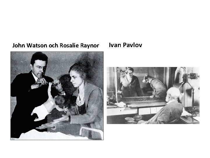John Watson och Rosalie Raynor Ivan Pavlov 