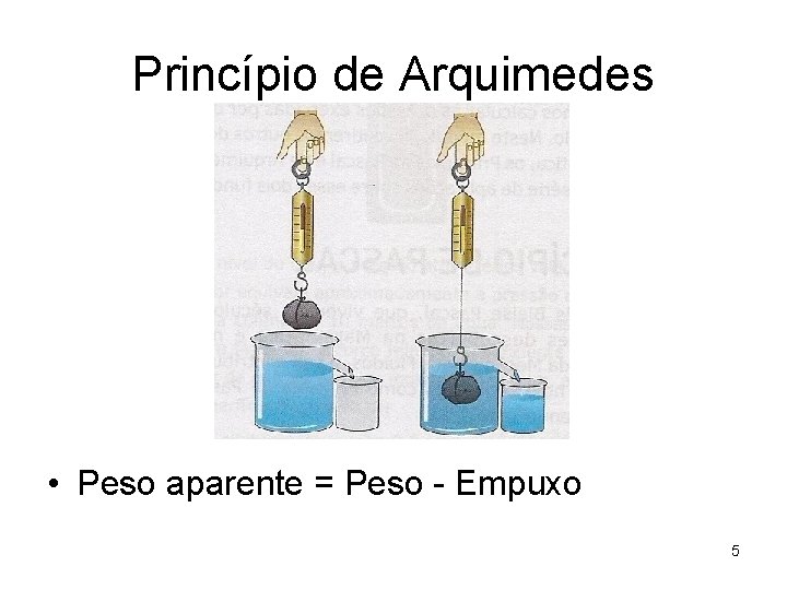 Princípio de Arquimedes • Peso aparente = Peso - Empuxo 5 