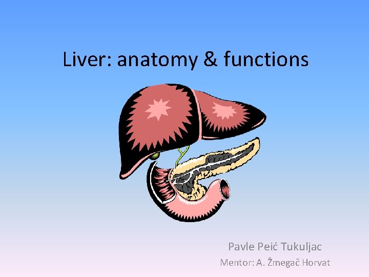 Liver: anatomy & functions Pavle Peić Tukuljac Mentor: A. Žmegač Horvat 