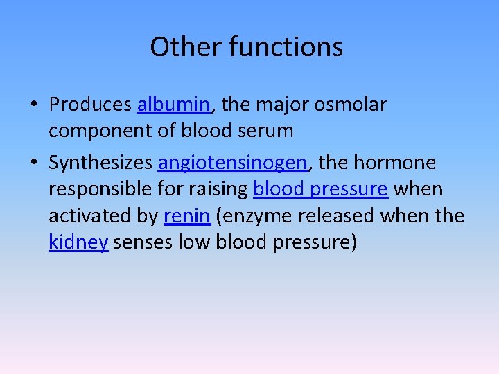 Other functions • Produces albumin, the major osmolar component of blood serum • Synthesizes