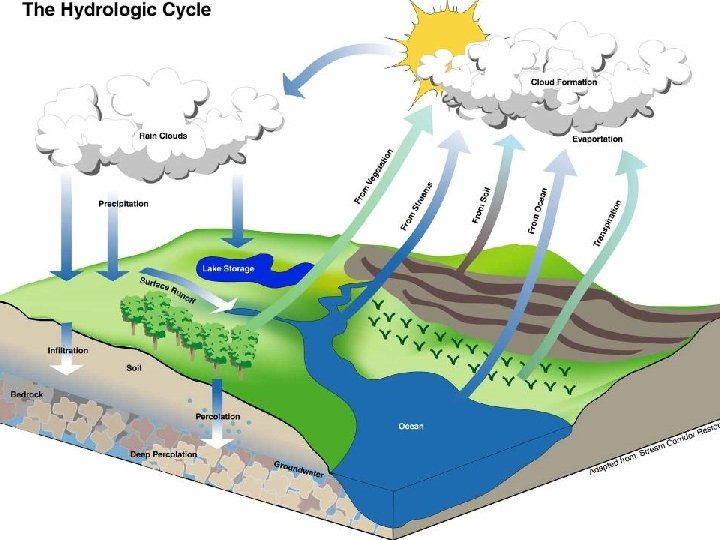 III. The Hydrologic Cycle 