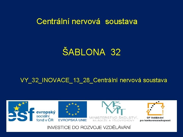 Centrální nervová soustava ŠABLONA 32 VY_32_INOVACE_13_28_Centrální nervová soustava 
