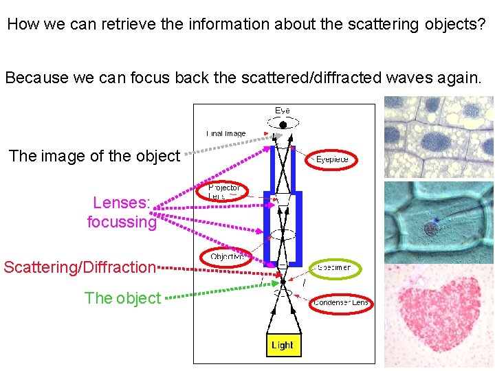 How we can retrieve the information about the scattering objects? Because we can focus