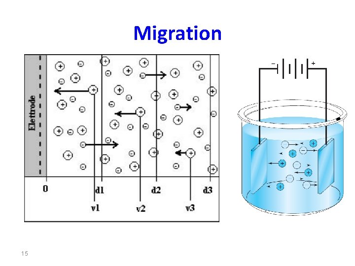 Migration 15 