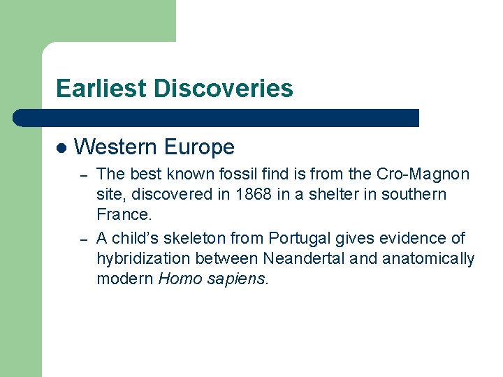Earliest Discoveries l Western Europe – – The best known fossil find is from