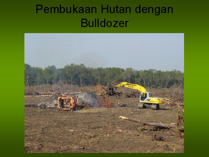 Pembukaan Hutan dengan Bulldozer 