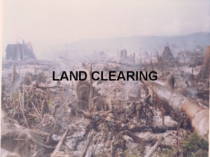 LAND CLEARING 