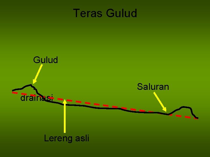 Teras Gulud Saluran drainasi Lereng asli 