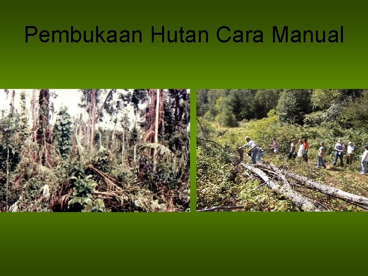 Pembukaan Hutan Cara Manual 