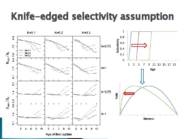 Knife-edged selectivity assumption 