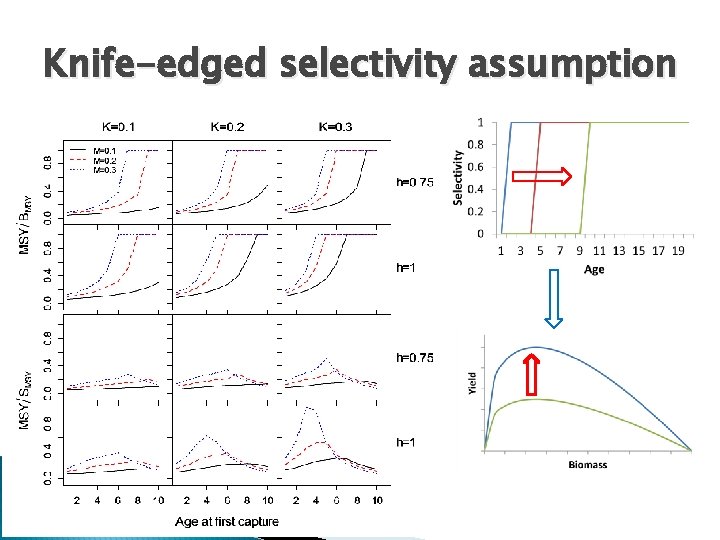 Knife-edged selectivity assumption 