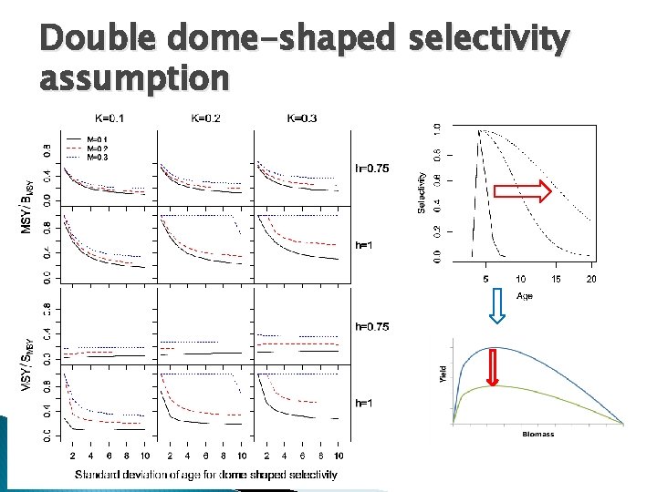 Double dome-shaped selectivity assumption 