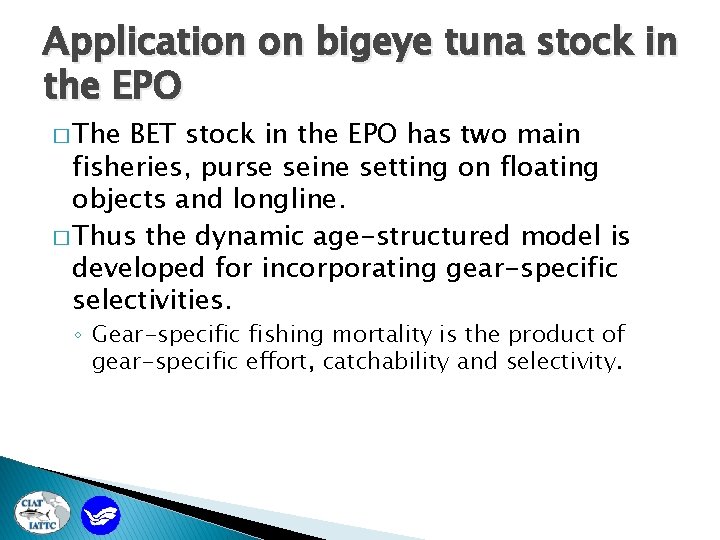 Application on bigeye tuna stock in the EPO � The BET stock in the