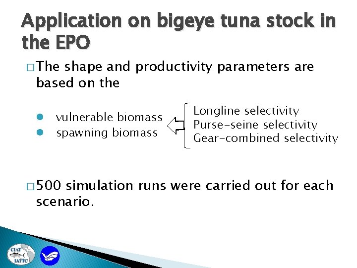 Application on bigeye tuna stock in the EPO � The shape and productivity parameters