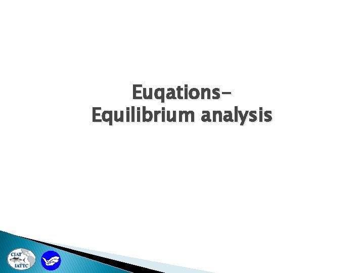 Euqations. Equilibrium analysis 