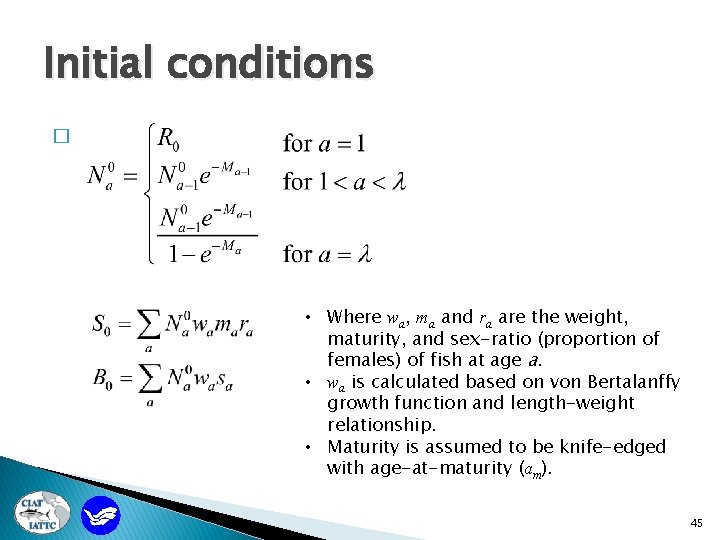 Initial conditions � • Where wa, ma and ra are the weight, maturity, and