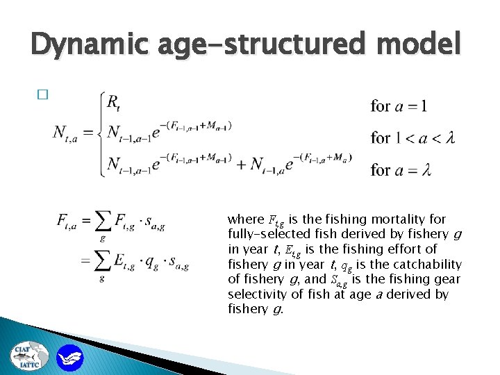 Dynamic age-structured model � where Ft, g is the fishing mortality for fully-selected fish