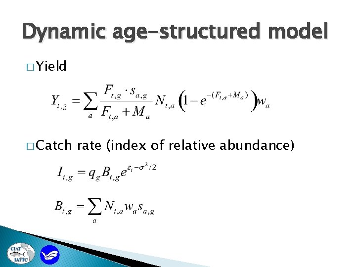 Dynamic age-structured model � Yield � Catch rate (index of relative abundance) 