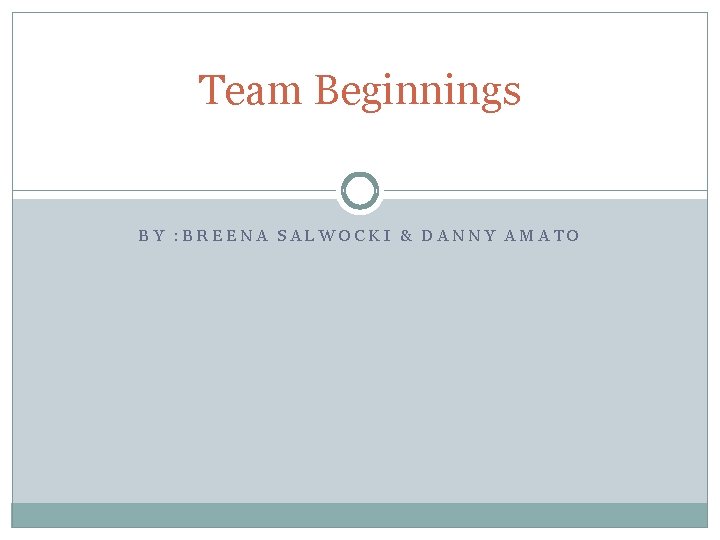 Team Beginnings BY : BREENA SALWOCKI & DANNY AMATO 