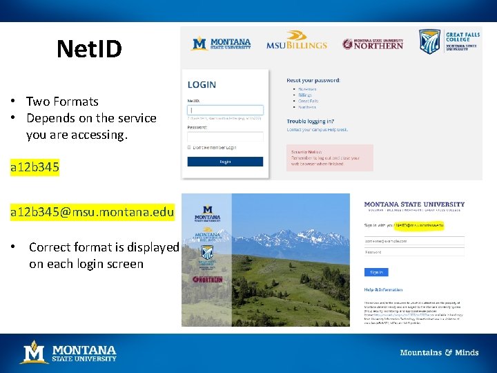 Net. ID • Two Formats • Depends on the service you are accessing. a Net. ID • Two Formats • Depends on the service you are accessing. a