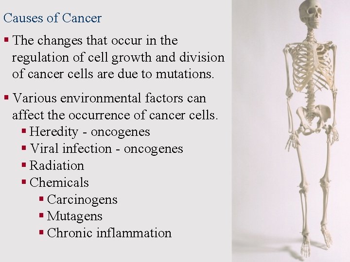 Causes of Cancer § The changes that occur in the regulation of cell growth